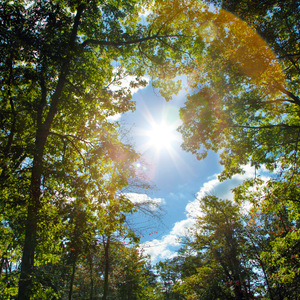 人体模特王丹海上田园
