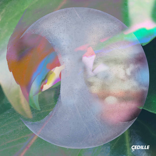 人体模特王丹海上田园
